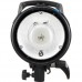 Elinchrom D-Lite RX 4 Head Only EL20487.1